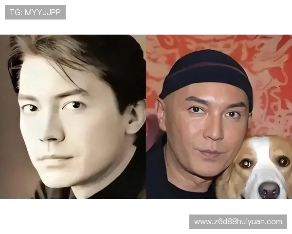 尊龙一人生就是博尊：从挫折中汲取力量，走向人生巅峰