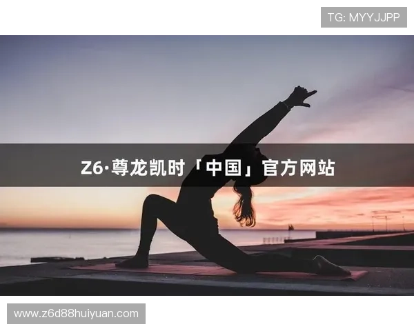 z6尊龙官方网站官网入口全面解析游戏特色玩法与最新活动资讯