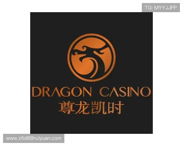 凯时尊龙人生就是博安全风险管理体系建立指南确保平台安全运营的关键步骤