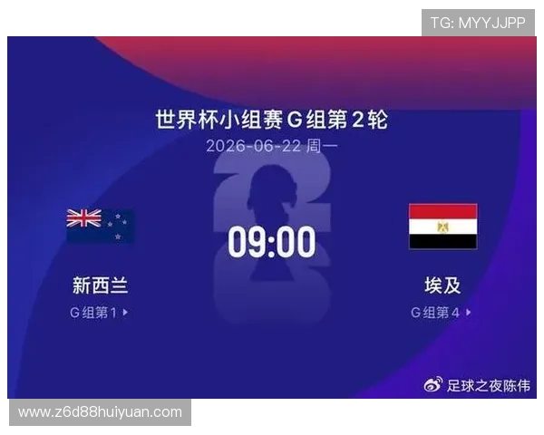世界杯新西兰VS埃及比赛现场天气状况及对比赛策略的影响分析